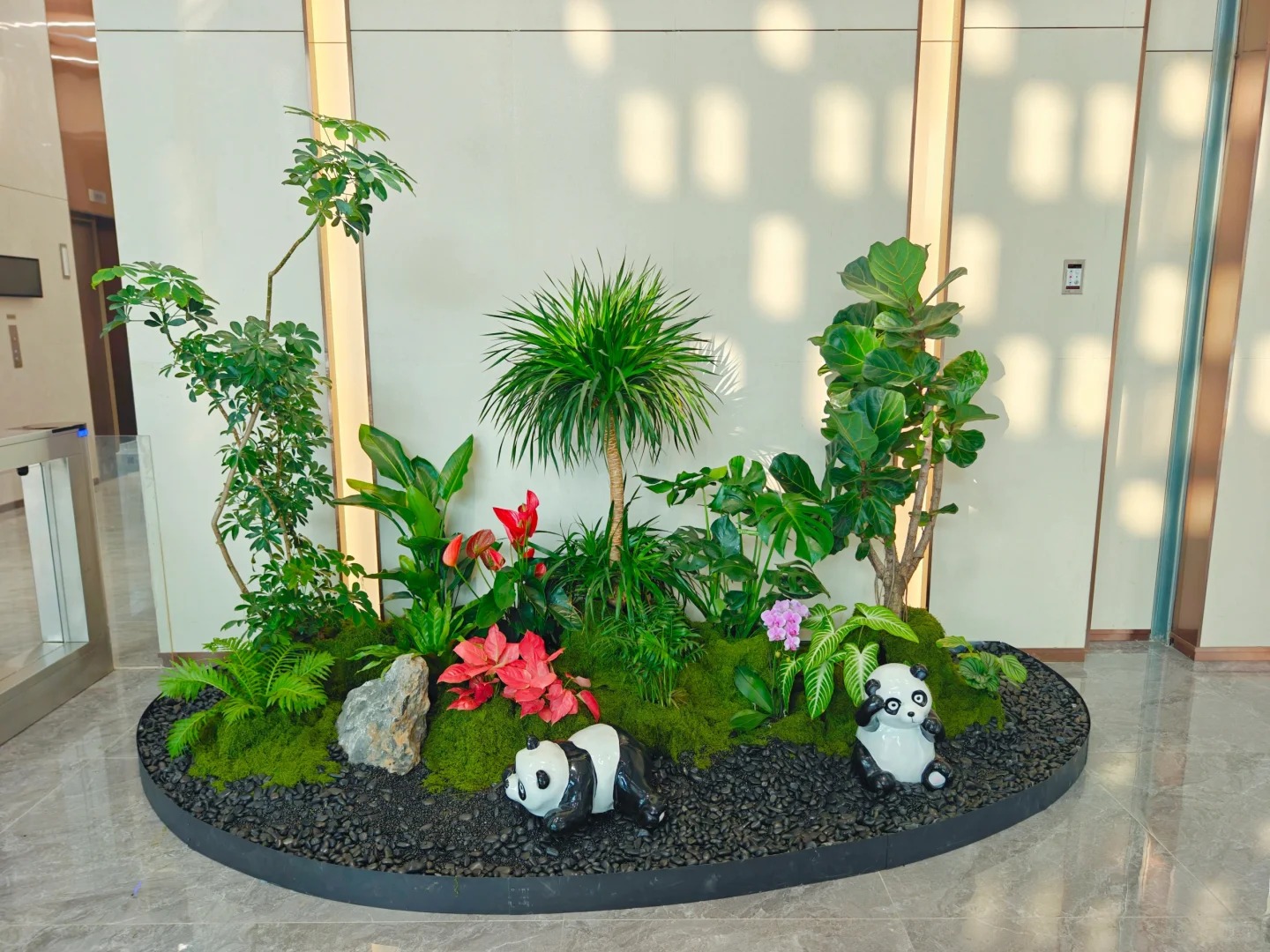 专业花卉租赁在慈溪,演绎缤纷花卉传奇